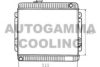 FORD 6067408 Radiator, engine cooling